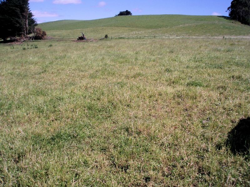 75 Preolenna Road, Flowerdale TAS 7325