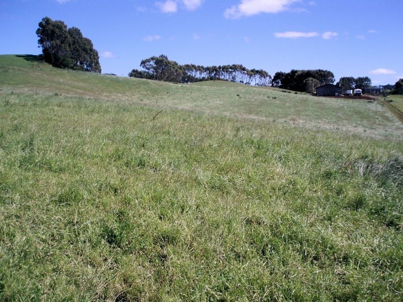 75 Preolenna Road, Flowerdale TAS 7325