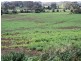 75 Preolenna Road, Flowerdale TAS 7325