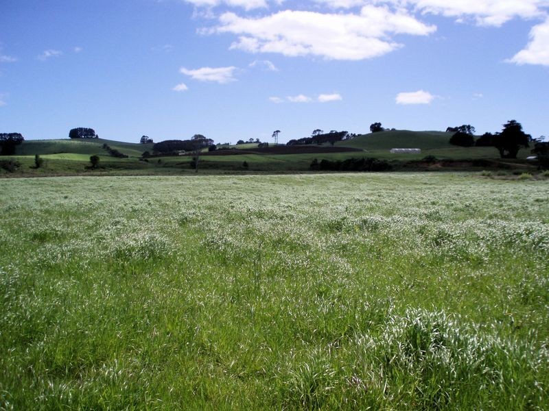 75 Preolenna Road, Flowerdale TAS 7325