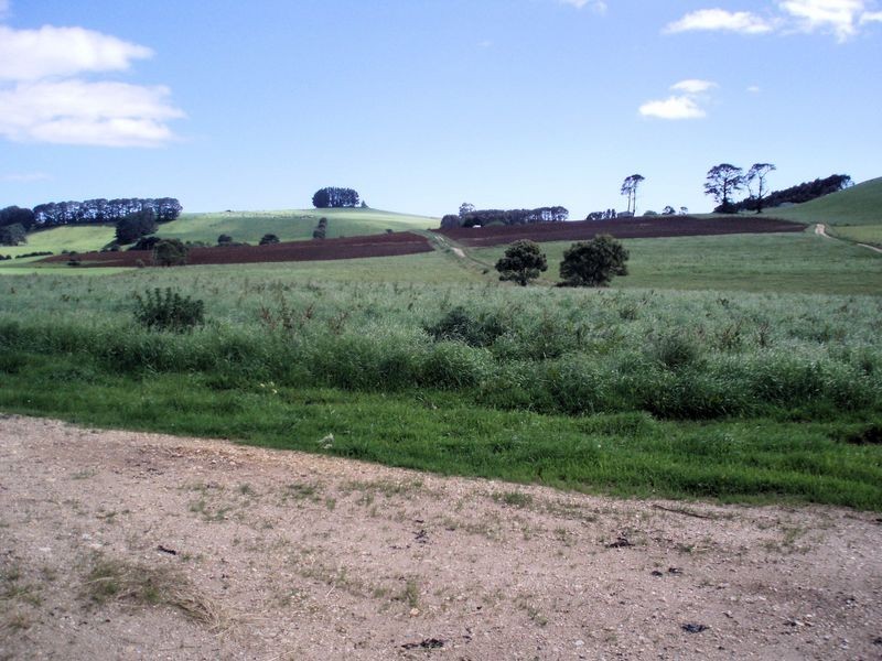 75 Preolenna Road, Flowerdale TAS 7325