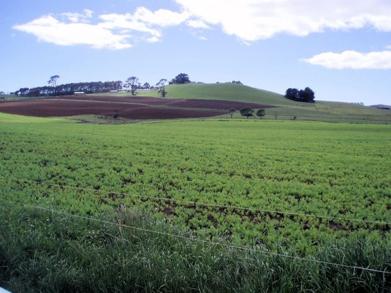 75 Preolenna Road, Flowerdale TAS 7325