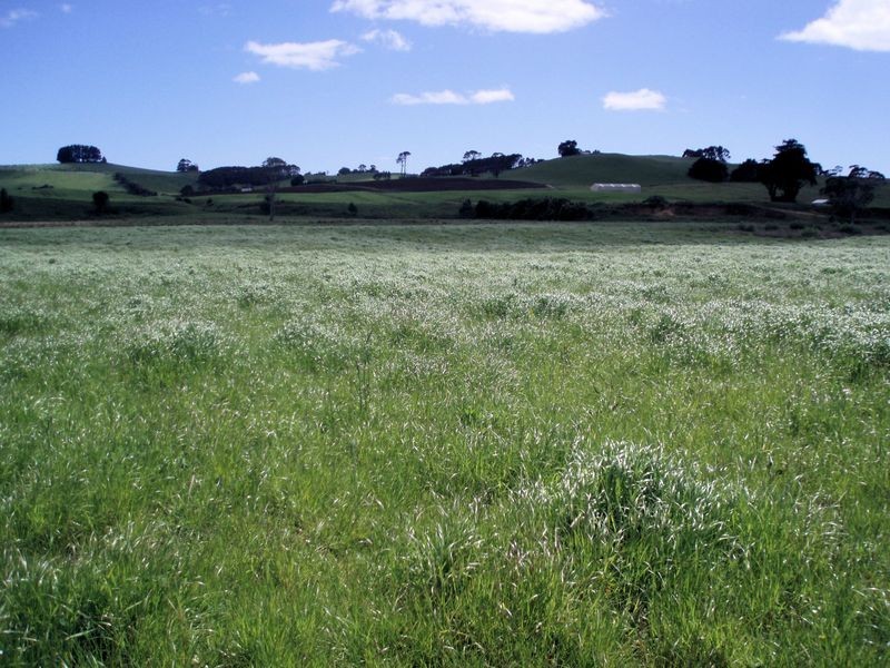 75 Preolenna Road, Flowerdale TAS 7325