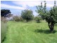 17463 Bass Highway, Boat Harbour TAS 7321