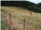 1015 Preolenna Road, Moorleah TAS 7325