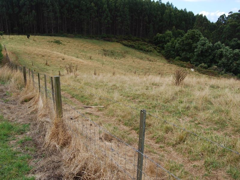 1015 Preolenna Road, Moorleah TAS 7325