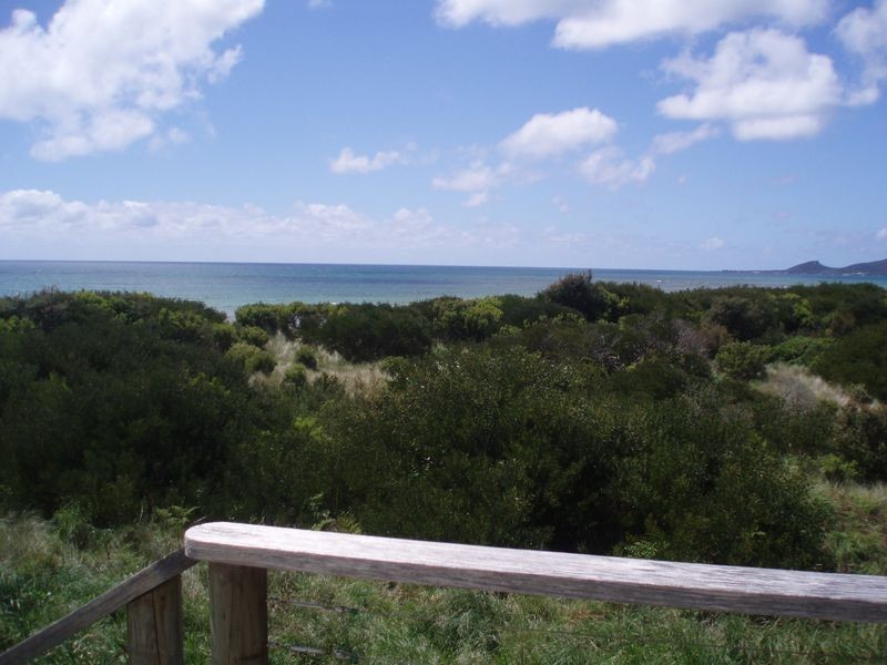 48 Honey Richea Road, Black River TAS 7321