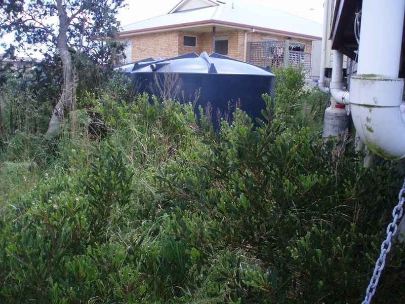 48 Honey Richea Road, Black River TAS 7321