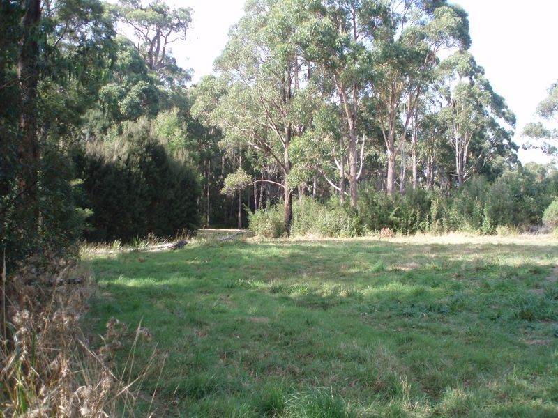 19479 Bass Highway, Black River TAS 7321