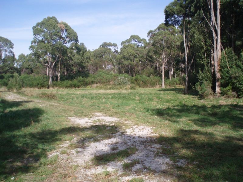 19479 Bass Highway, Black River TAS 7321