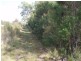 19479 Bass Highway, Black River TAS 7321