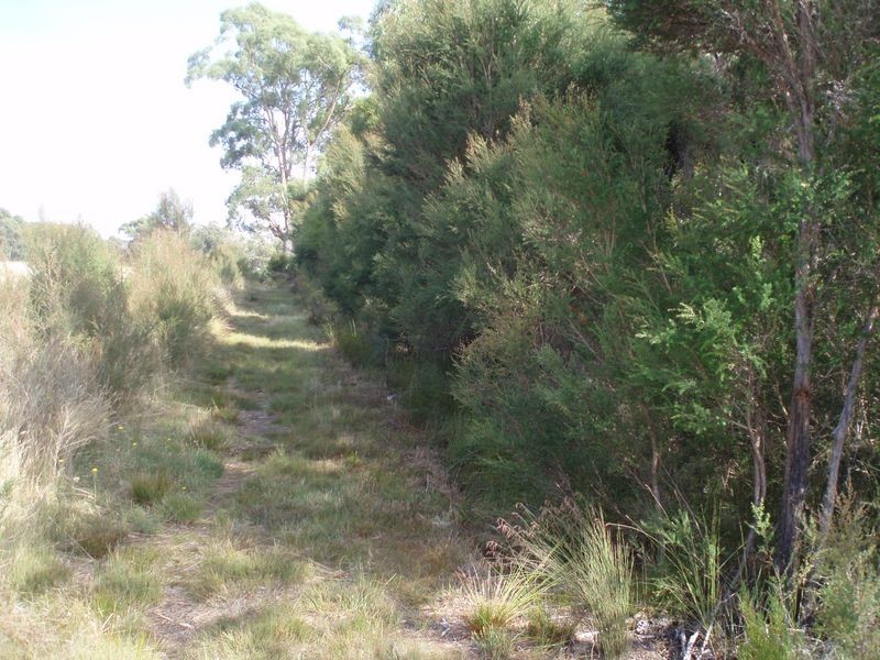 19479 Bass Highway, Black River TAS 7321