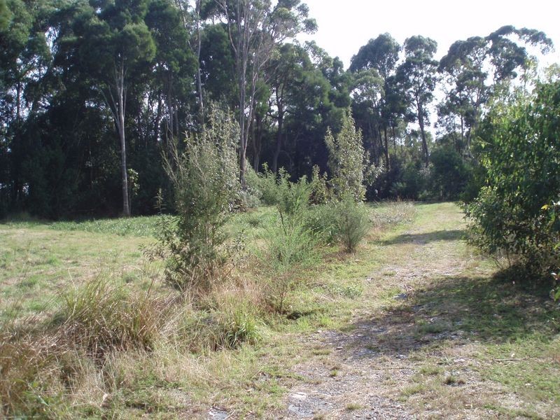 19479 Bass Highway, Black River TAS 7321