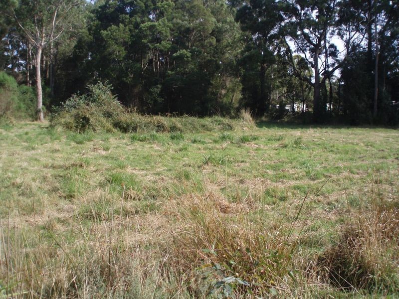 19479 Bass Highway, Black River TAS 7321