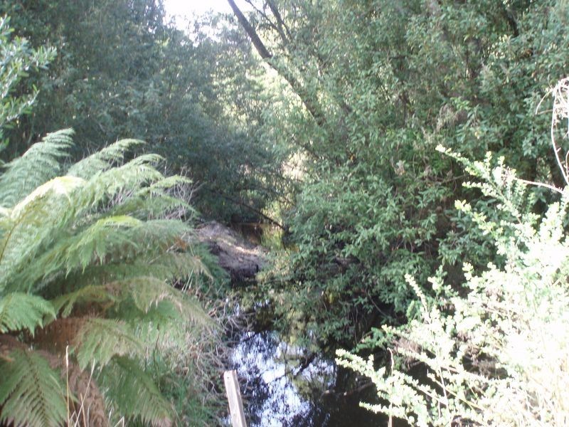 19479 Bass Highway, Black River TAS 7321