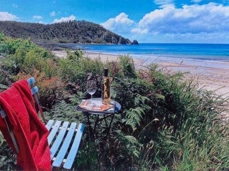 149 Irby Boulevard, Sisters Beach TAS 7321