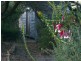 149 Irby Boulevard, Sisters Beach TAS 7321