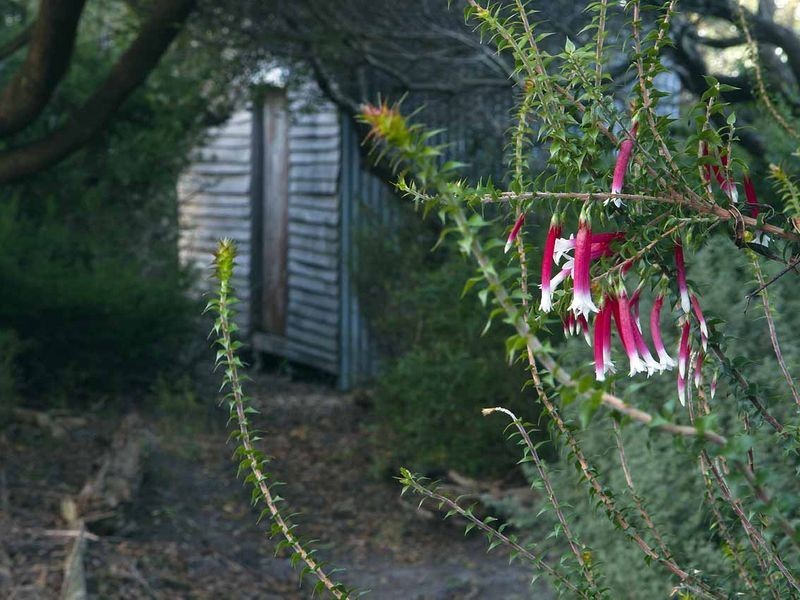 149 Irby Boulevard, Sisters Beach TAS 7321