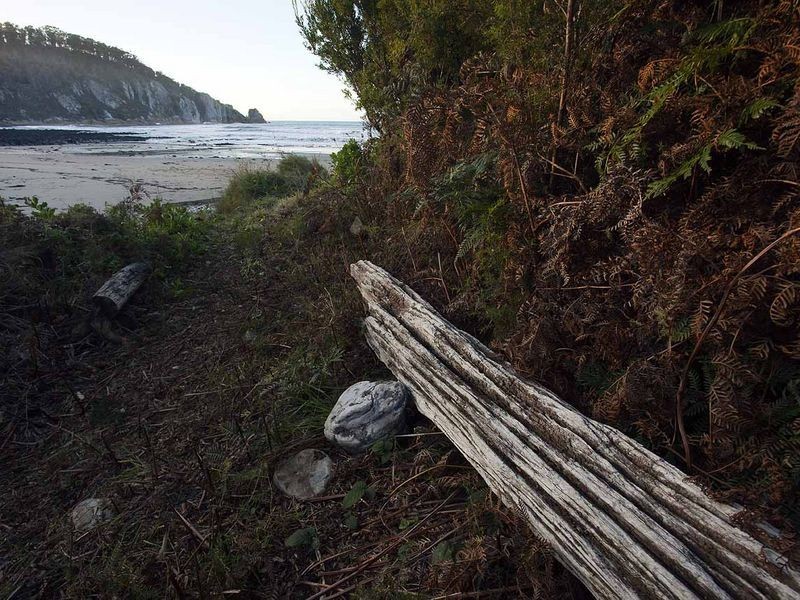149 Irby Boulevard, Sisters Beach TAS 7321