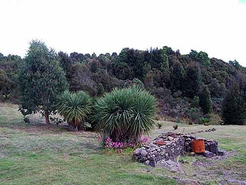 Hall Street, Waratah TAS 7321