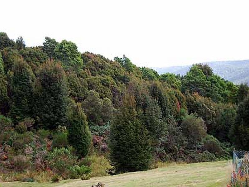 Hall Street, Waratah TAS 7321