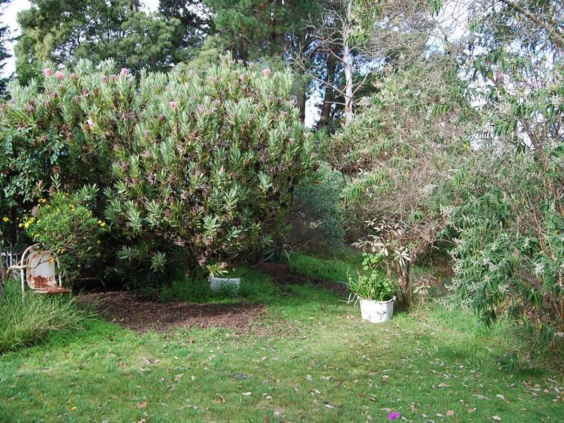 34 George Street, Wynyard TAS 7325