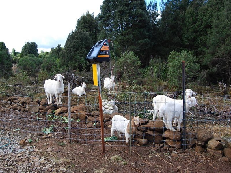 536 Waratah Road, Waratah TAS 7321