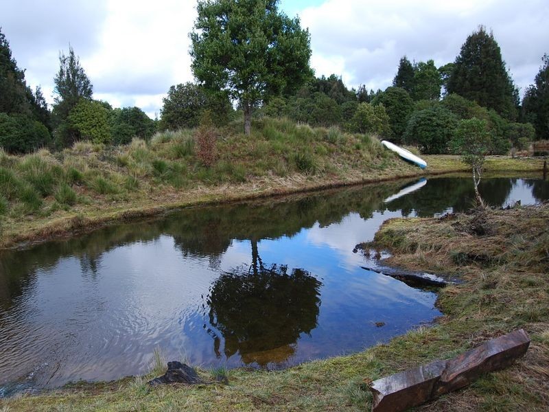 536 Waratah Road, Waratah TAS 7321