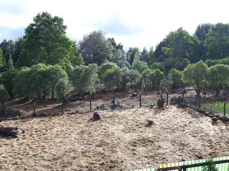 536 Waratah Road, Waratah TAS 7321