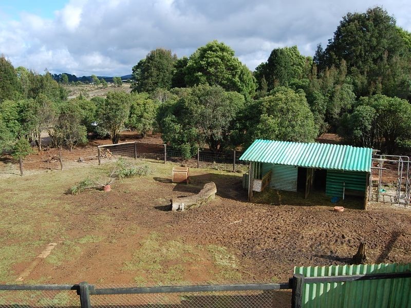 536 Waratah Road, Waratah TAS 7321