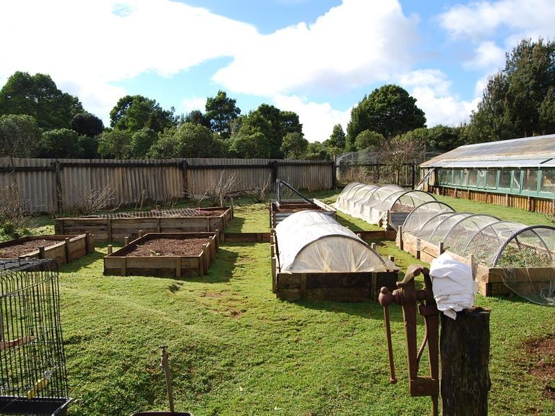 536 Waratah Road, Waratah TAS 7321