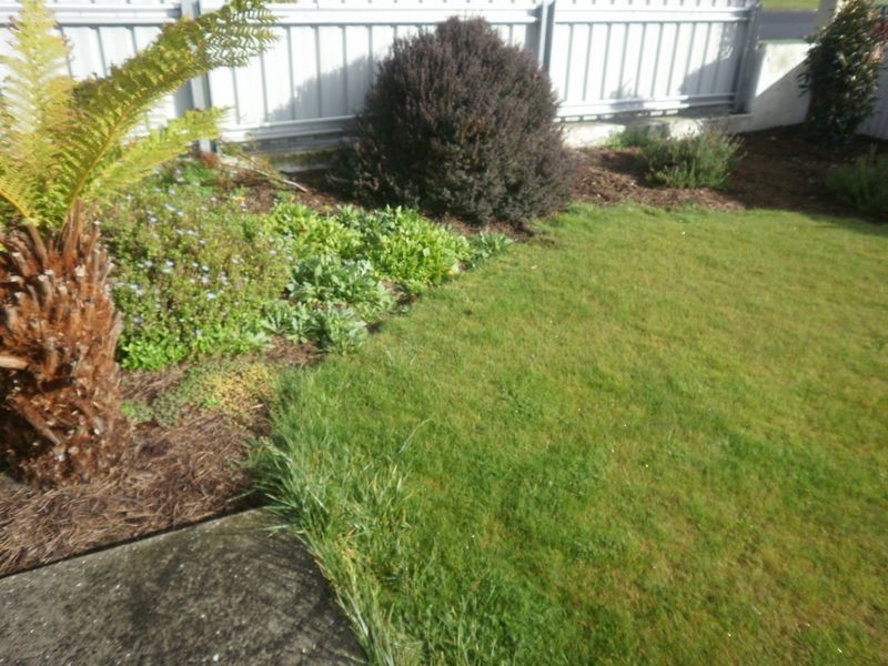 35 Austin Street, Wynyard TAS 7325