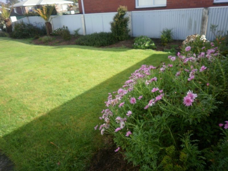 35 Austin Street, Wynyard TAS 7325