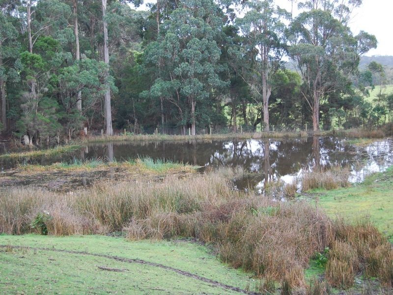 19086 Bass Highway, Rocky Cape TAS 7321