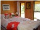 369 Takone Road, Takone TAS 7325