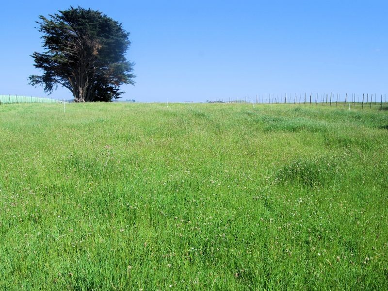 141 Village Lane, Somerset TAS 7322