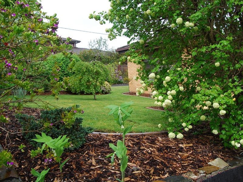 52 Gibbons Street, Wynyard TAS 7325