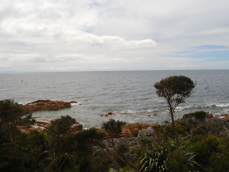 310 Port Road, Boat Harbour Beach TAS 7321