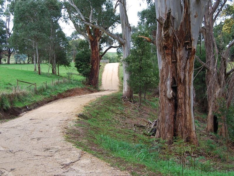 2 Tippetts Road, Mount Hicks TAS 7325