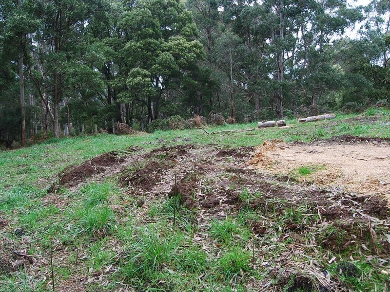 2 Tippetts Road, Mount Hicks TAS 7325