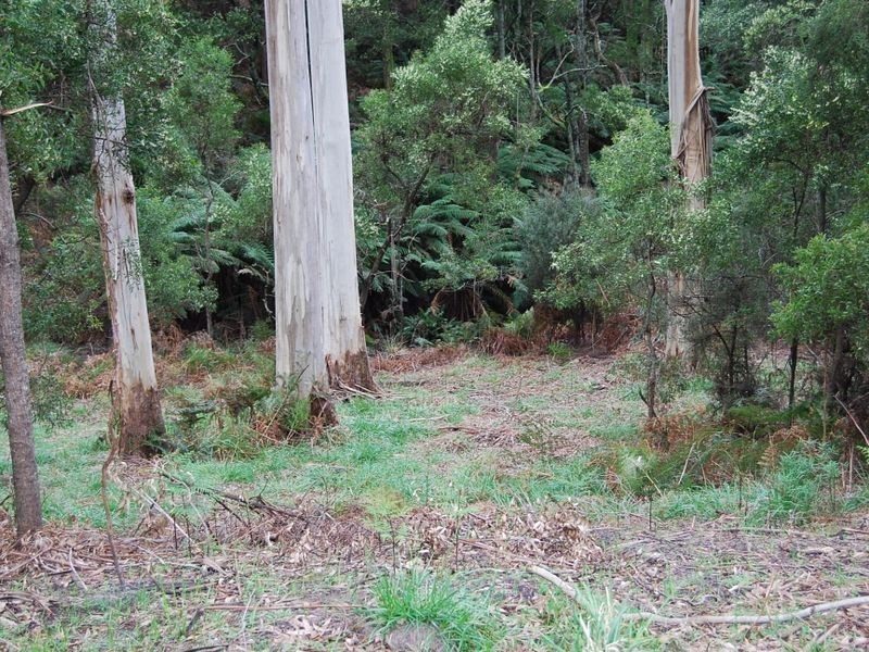 2 Tippetts Road, Mount Hicks TAS 7325
