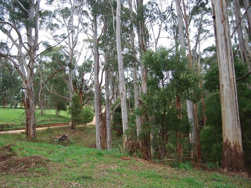 2 Tippetts Road, Mount Hicks TAS 7325
