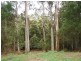 2 Tippetts Road, Mount Hicks TAS 7325