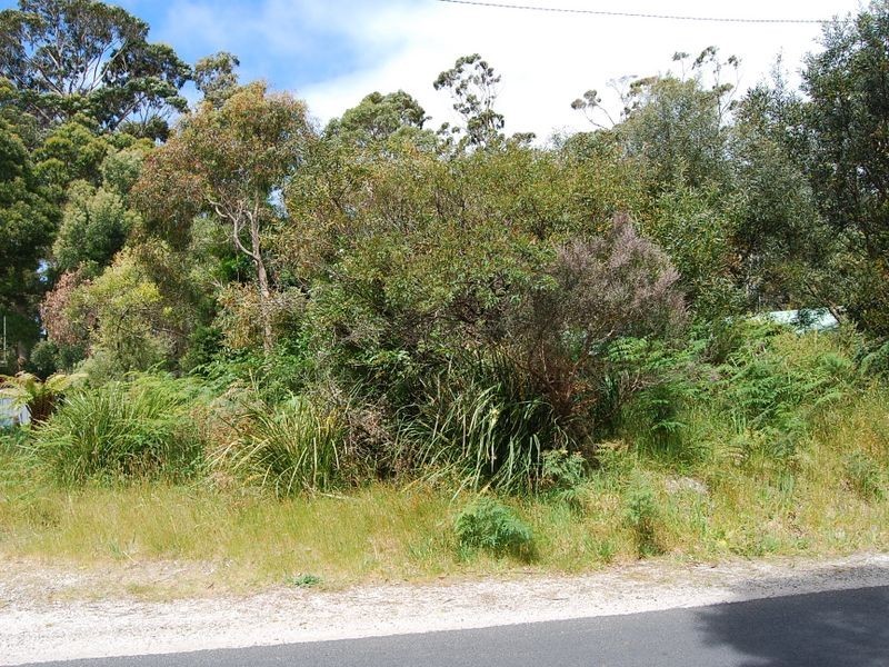 11 Kenelm Avenue, Sisters Beach TAS 7321