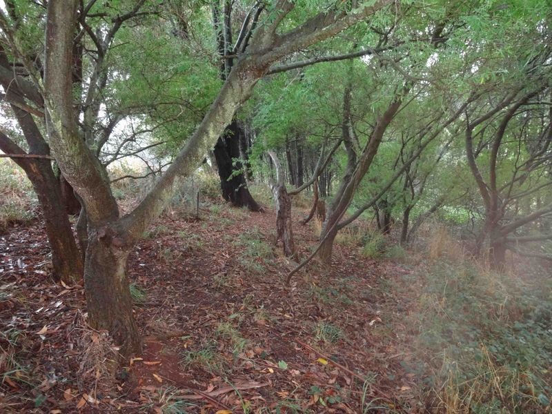 21 Fists Lane, Boat Harbour TAS 7321