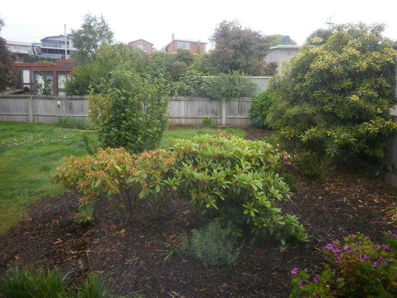 95 Grandview Avenue, Burnie TAS 7320