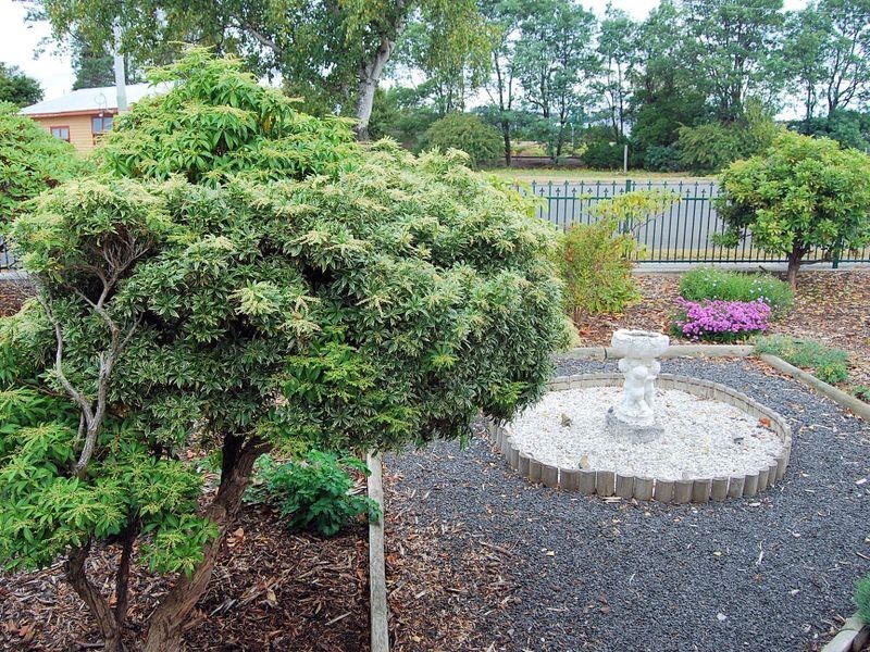 67 Dodgin Street, Wynyard TAS 7325