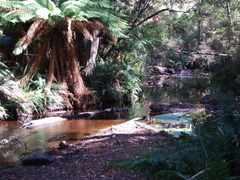 6 Elfrida Avenue, Sisters Beach TAS 7321