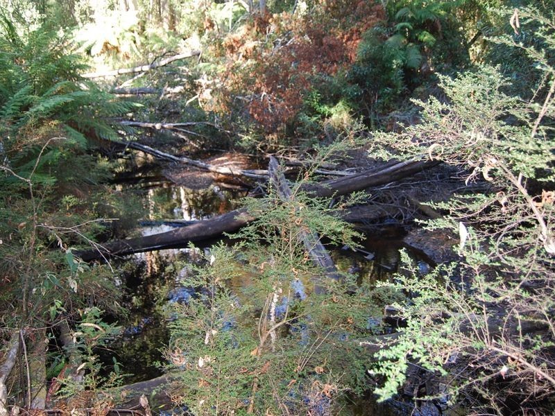 6 Elfrida Avenue, Sisters Beach TAS 7321