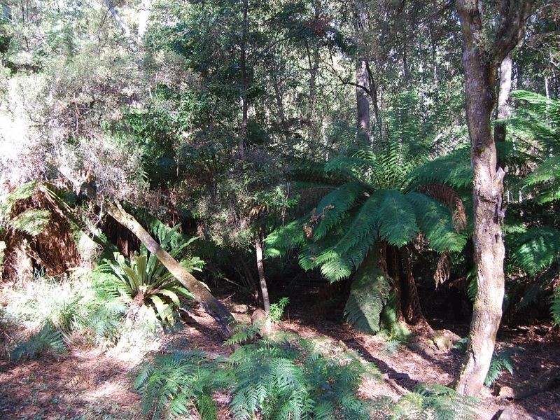 6 Elfrida Avenue, Sisters Beach TAS 7321